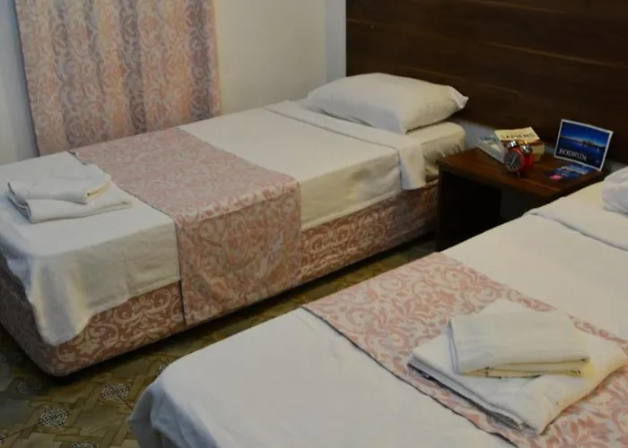 Arti Butik * 博德鲁姆